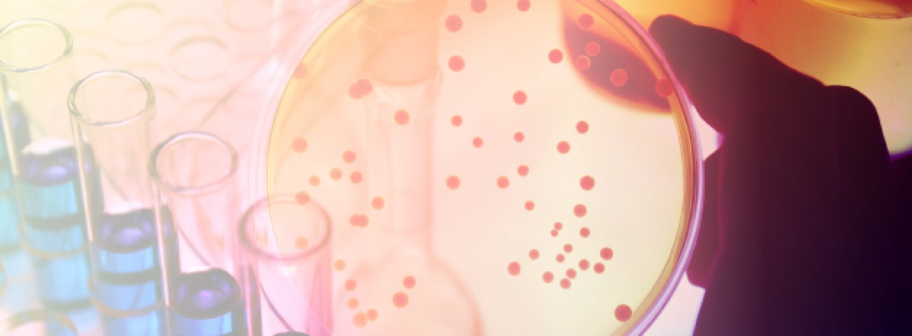 Informations scientifiques