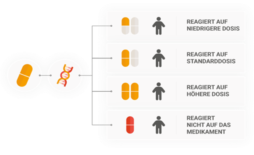 Pharmakogenetik Medikamentenreaktion